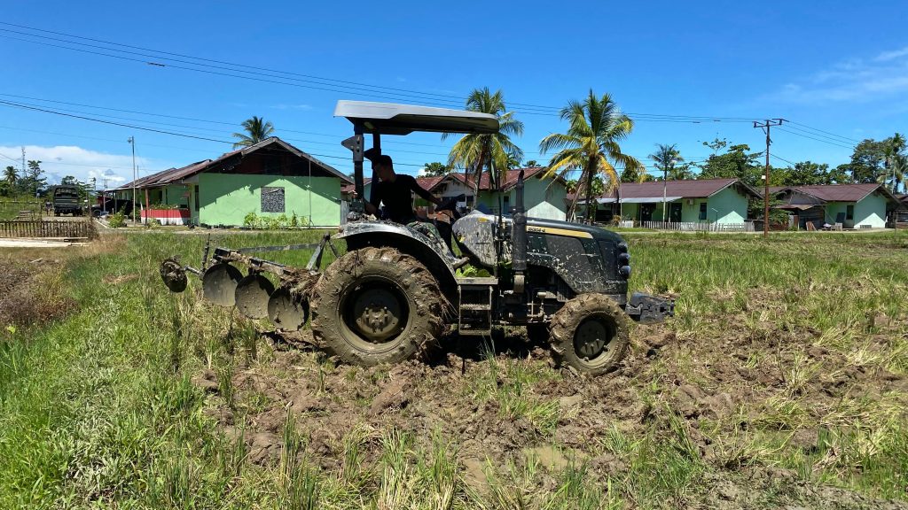 KOMPI PERTANIAN YONIF TP 804/DBAY OLAH LAHAN PADI, CABAI, DAN JAGUNG.